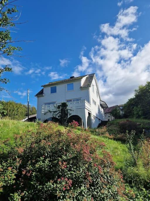 Madsgard Villa Etnesjoen Exterior foto